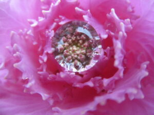 【生駒事業所】啓蟄が過ぎて