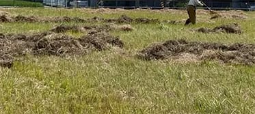 Work 06a: Agriculture